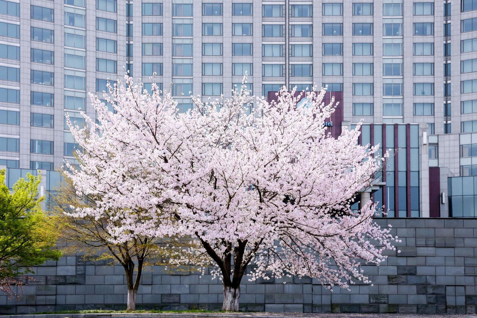 Kempinski Hotel Suzhou Suzhou  Eksteriør bilde